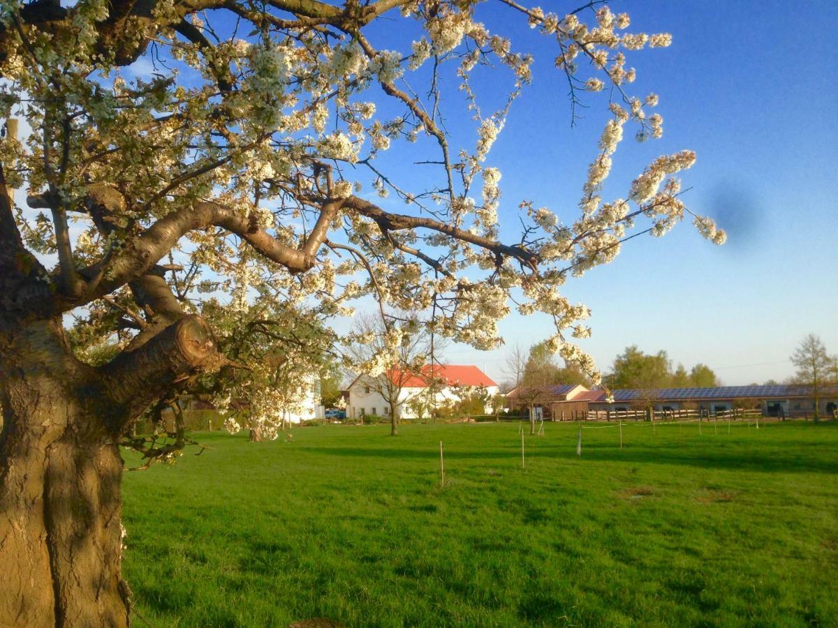Ferienwohnung Zweinig 01 Eksteriør billede